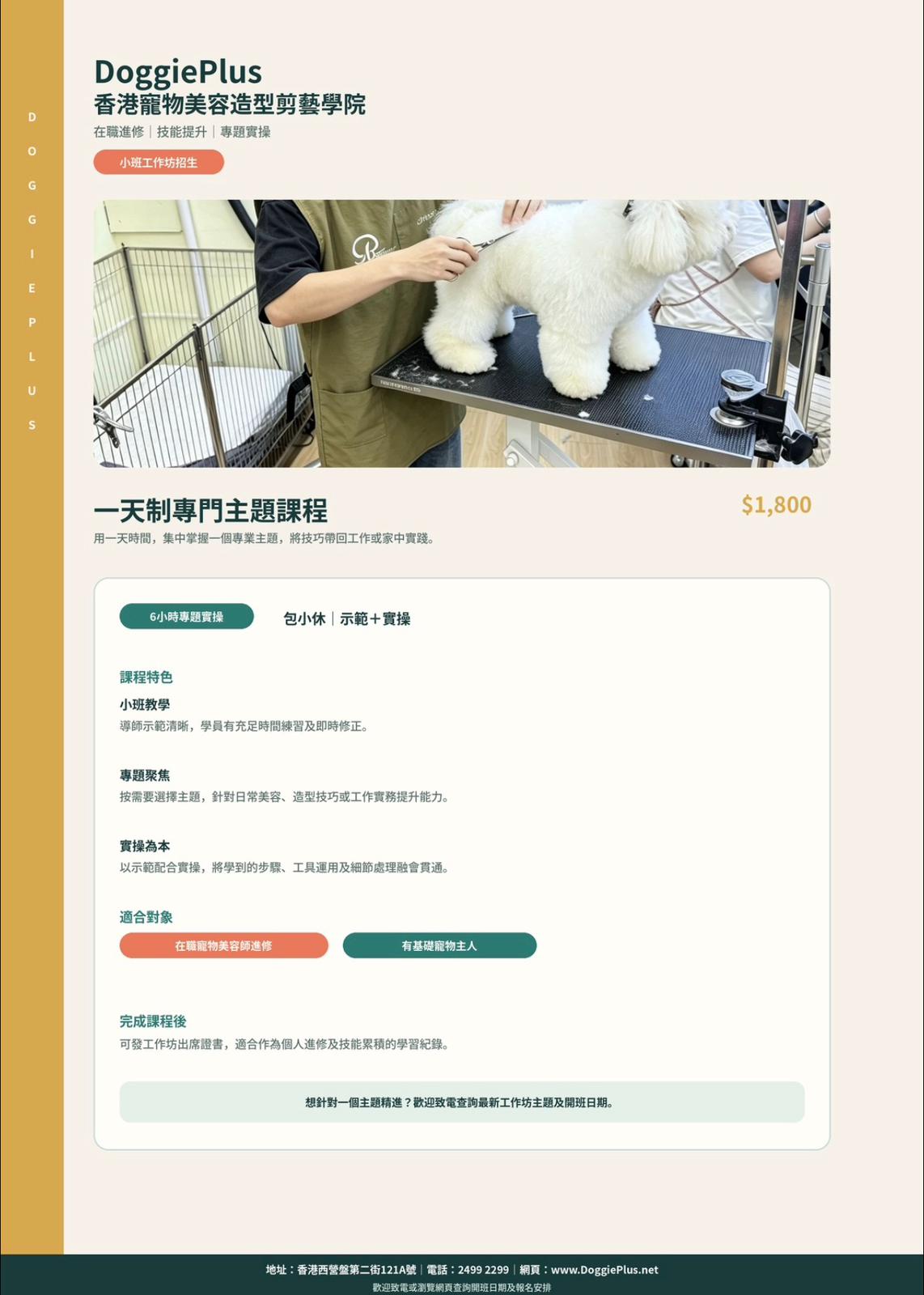 專業寵物美容課程